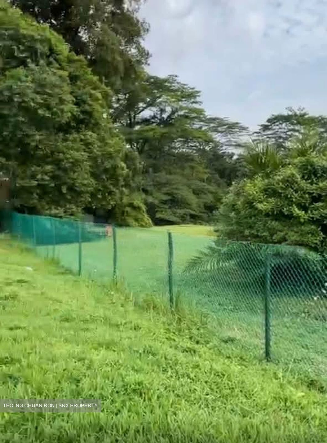 Tanglin Hill (D10), Detached #589839451